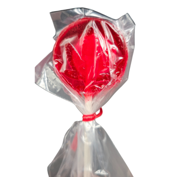 cherry lollypops back hemp leaf